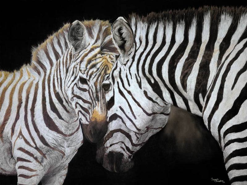 Zebra Mother and Foal Prints